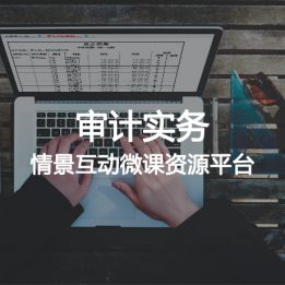 審計實務(wù)情景互動微課資源平臺軟件