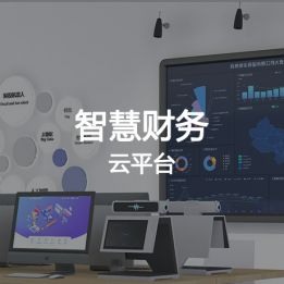 智慧財(cái)務(wù)云平臺(tái)軟件